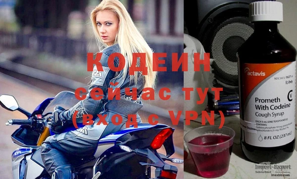 спиды Лагань