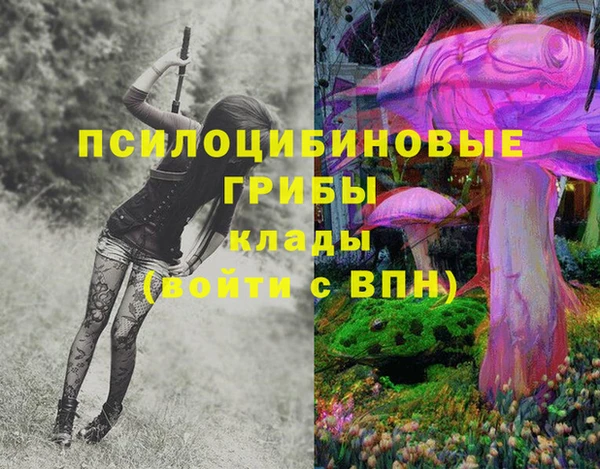 спиды Лагань