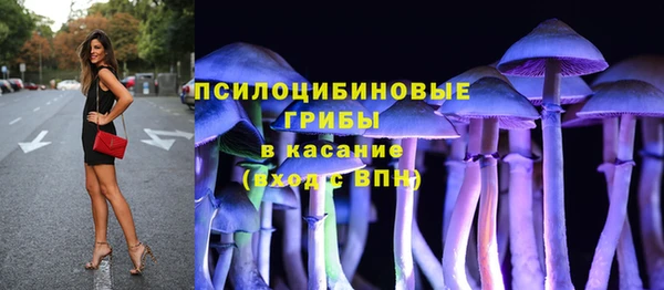 спиды Лагань