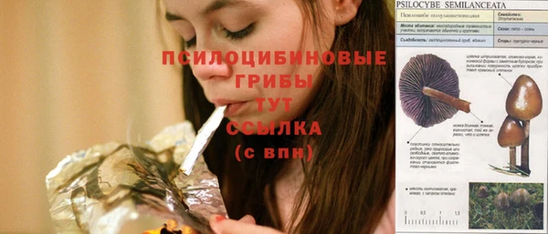 спиды Лагань