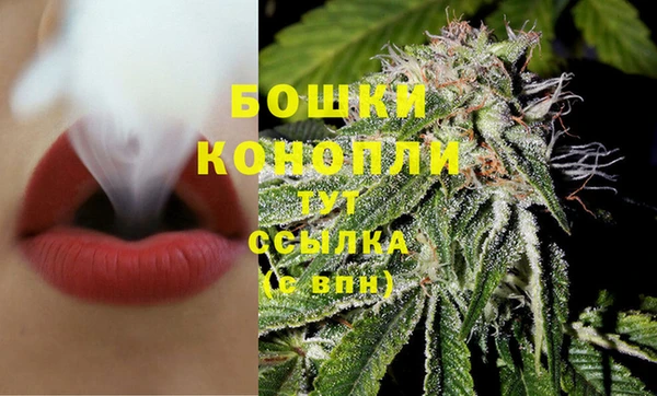 спиды Лагань
